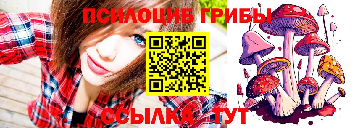 Галлюциногенные грибы прущие грибы  Псилоцибиновые грибы MAGIC MUSHROOMS  Вход с VPN  Саранск 